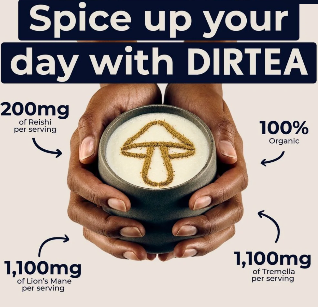 DIRTEA Chai - Energy, Focus, Calm