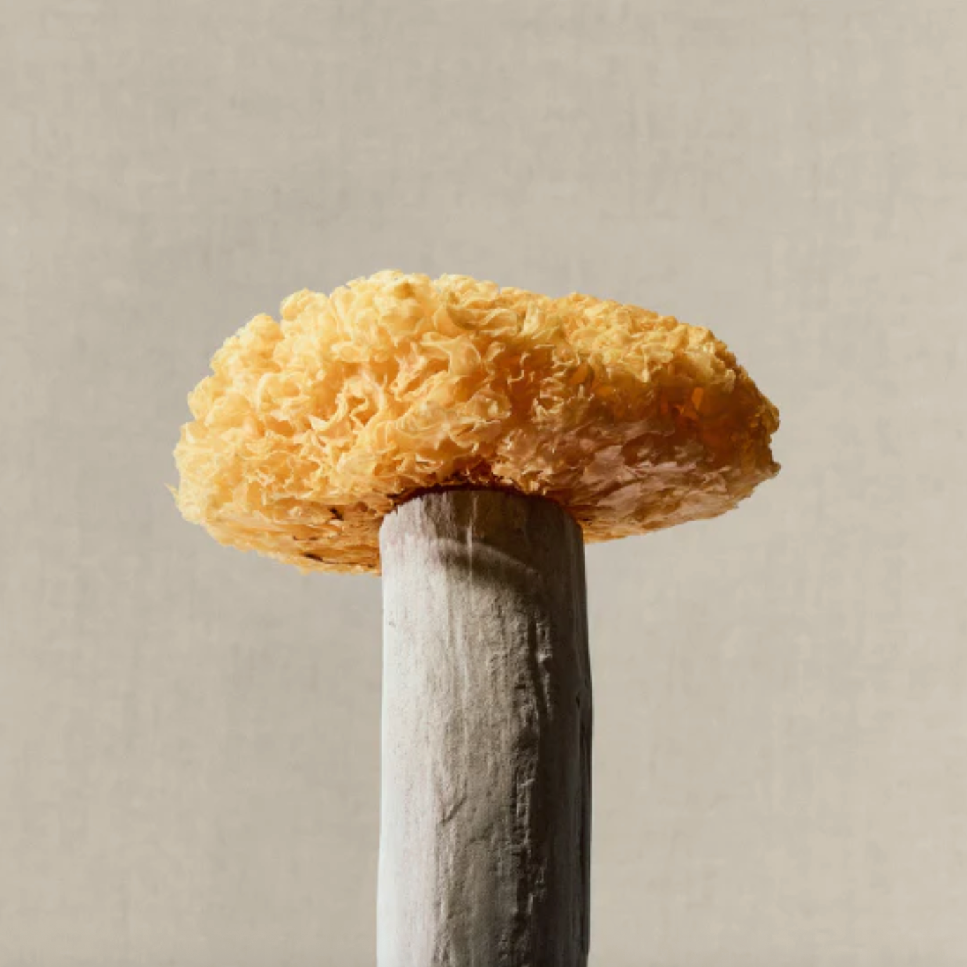 DIRTEA Tremella Beauty Powder - Large Pouch (120 servings)