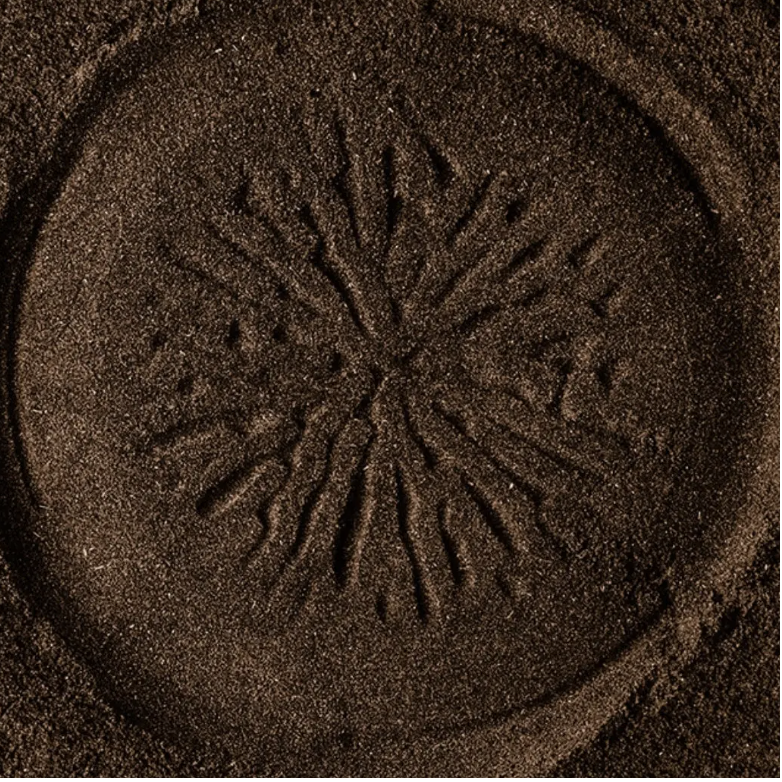 DIRTEA Turkey Tail Mushroom Powder