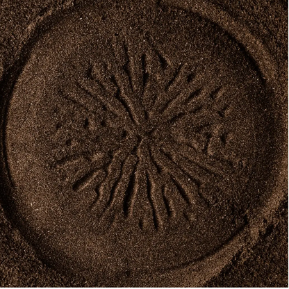 DIRTEA Turkey Tail Mushroom Powder